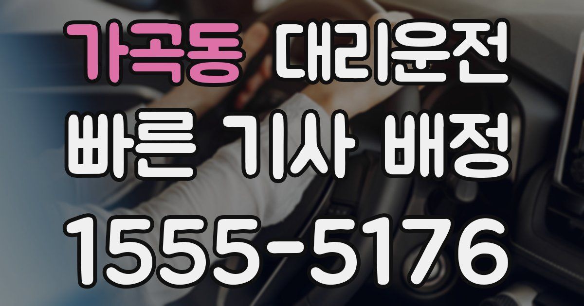 일일대리기사