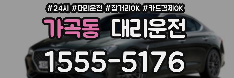 가곡동 대리운전