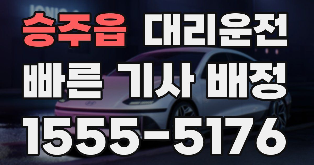일일대리기사