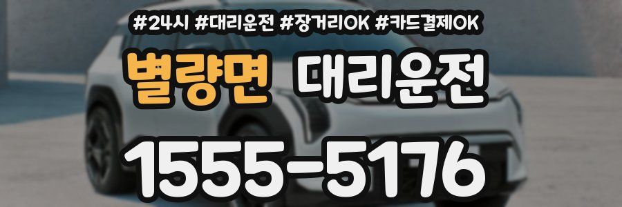 별량면 대리운전