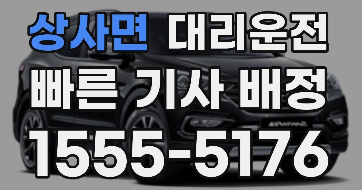 일일대리기사