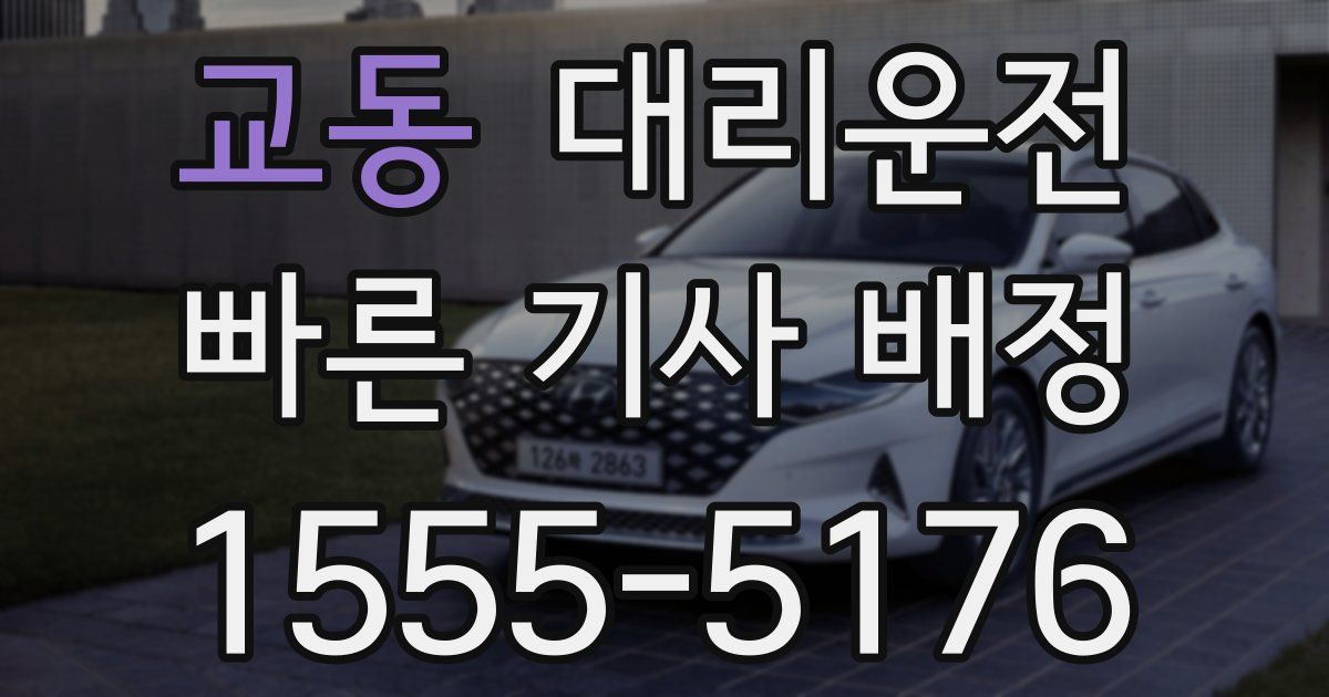 일일대리기사