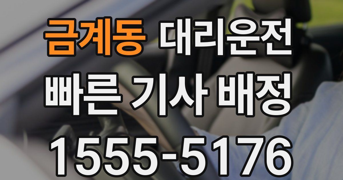일일대리기사