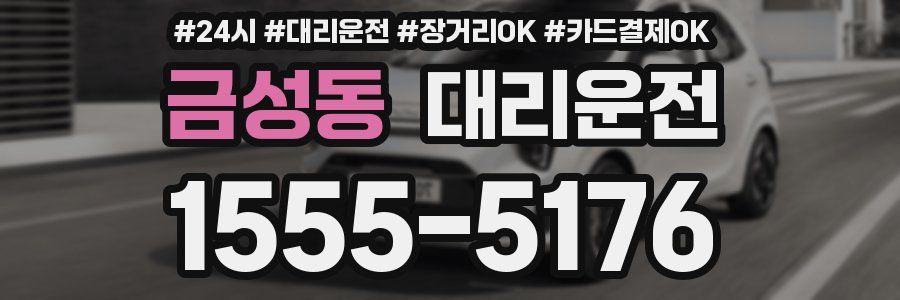금성동 대리운전