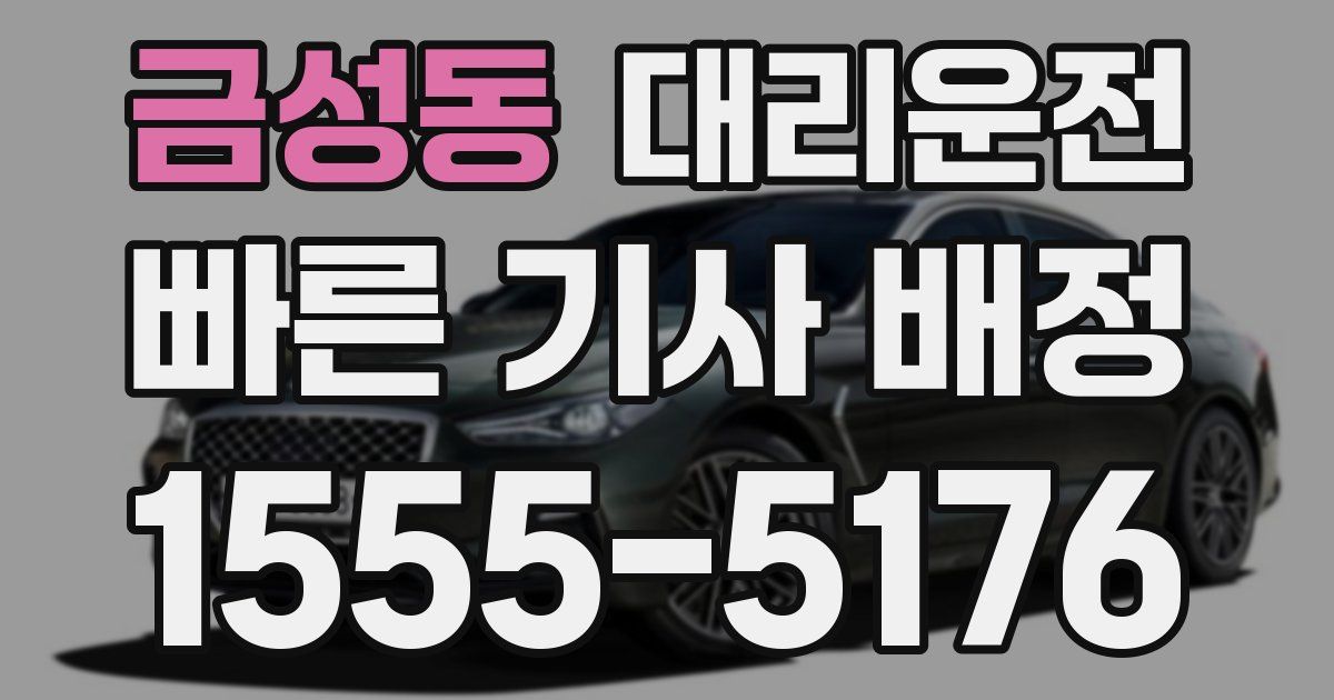 일일대리기사
