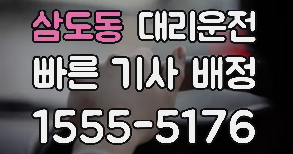 일일대리기사