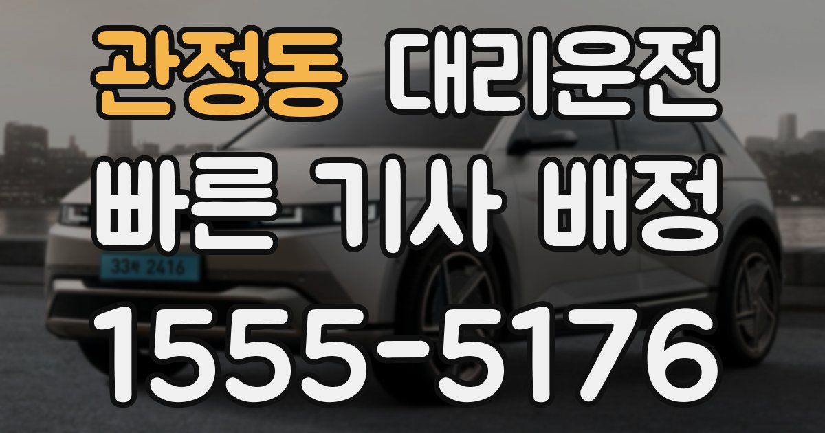 일일대리기사