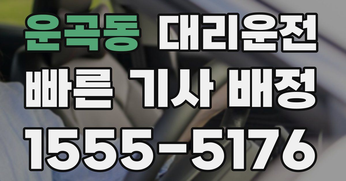 일일대리기사