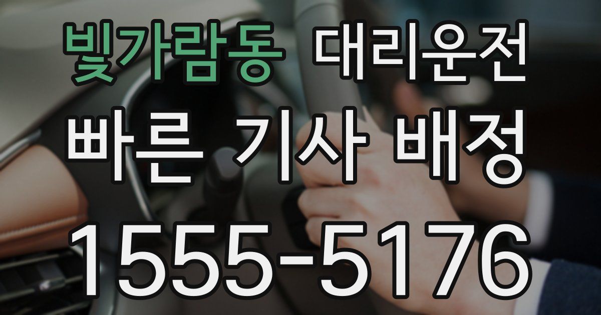 일일대리기사