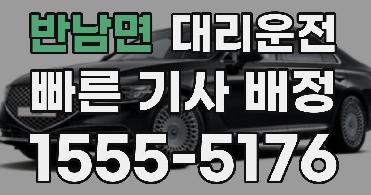 일일대리기사