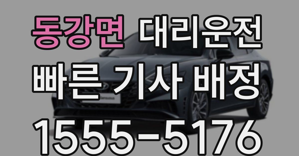 일일대리기사