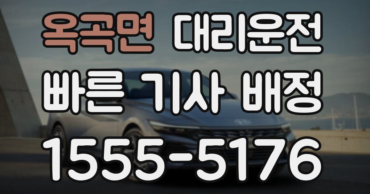 일일대리기사