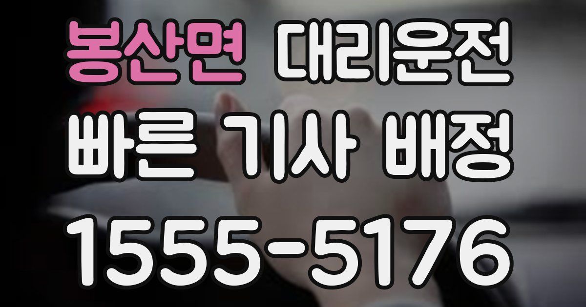일일대리기사