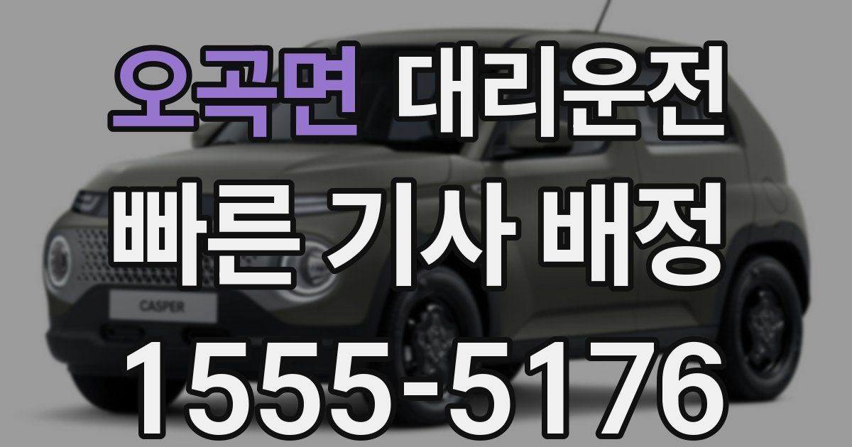 일일대리기사