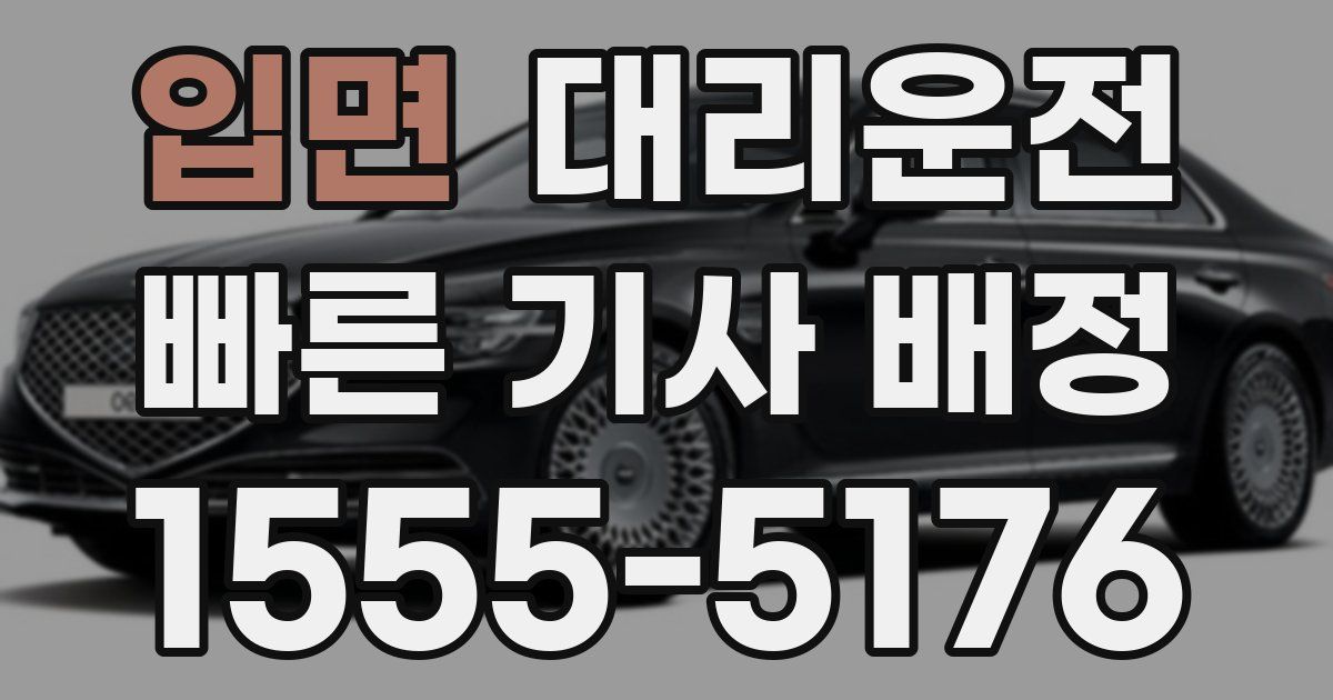 일일대리기사