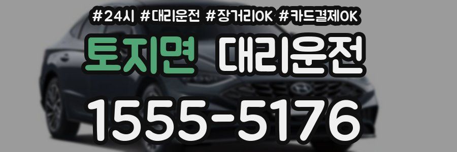 토지면 대리운전