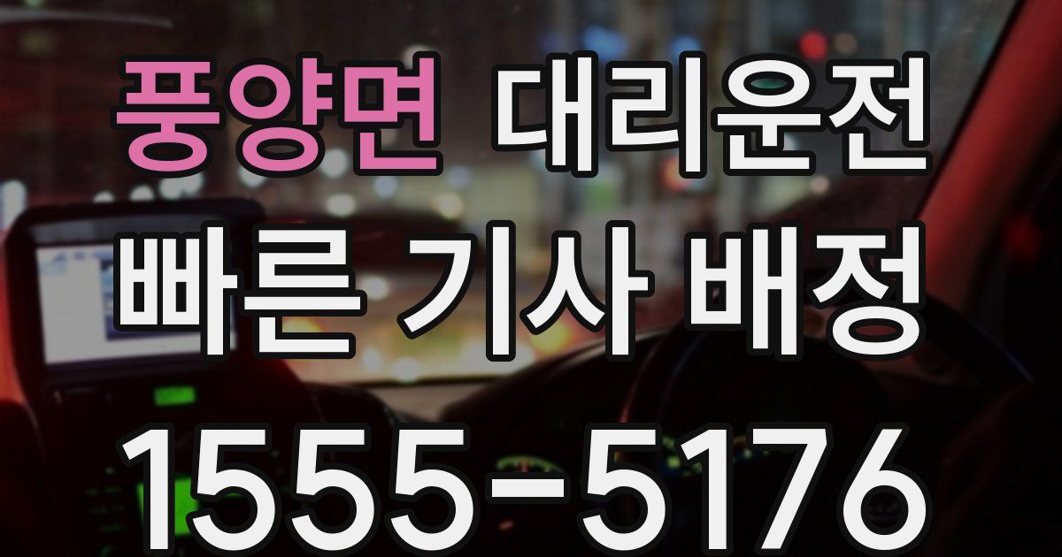 일일대리기사