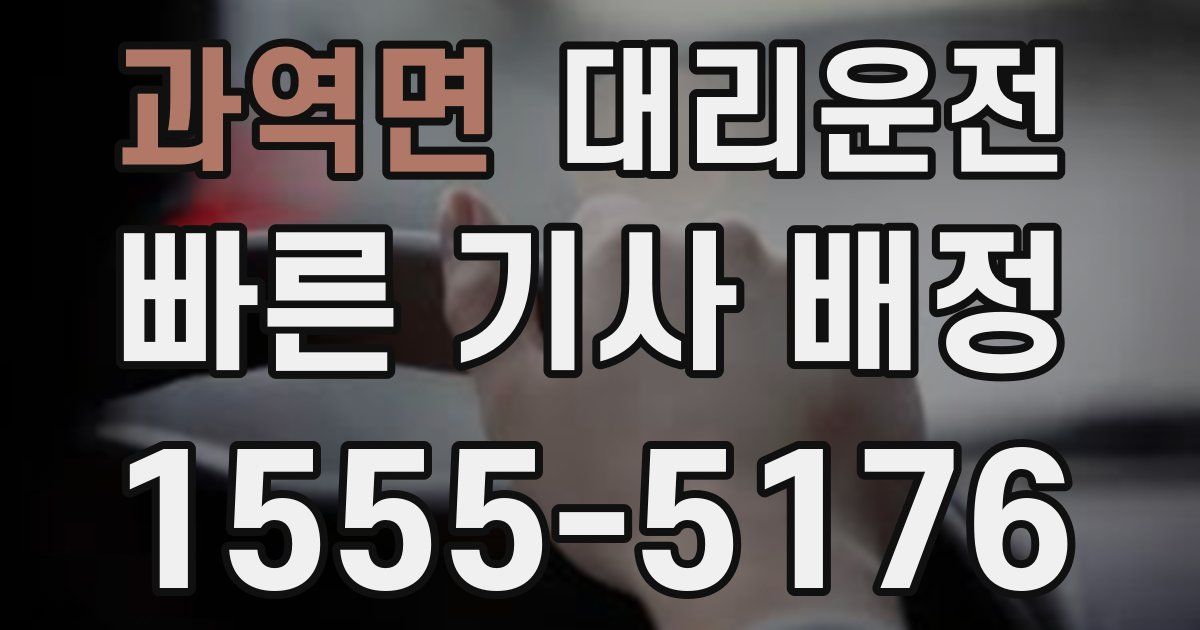 일일대리기사