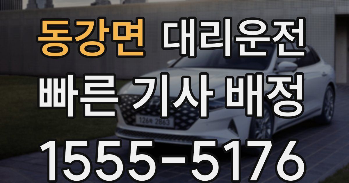일일대리기사