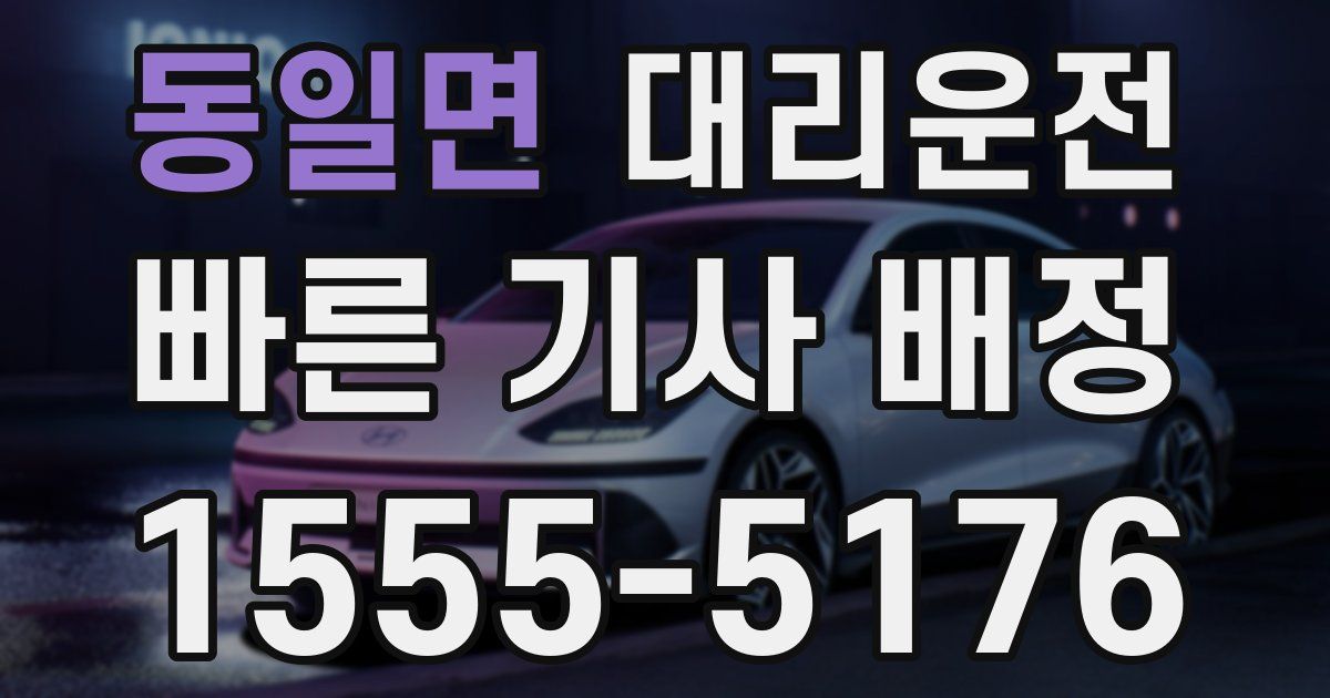 일일대리기사