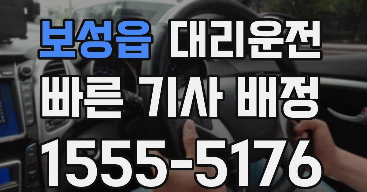일일대리기사