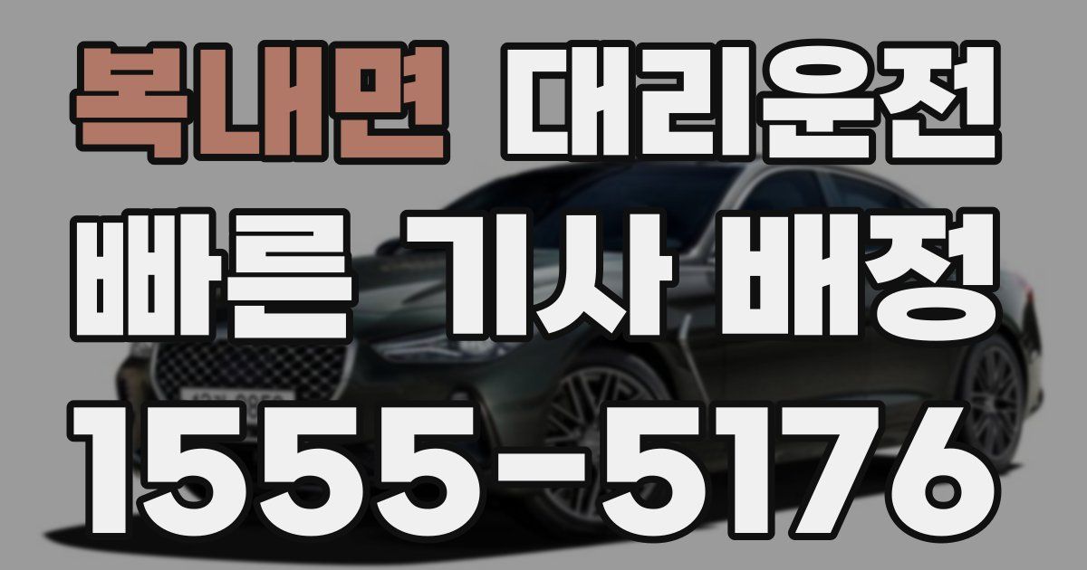 일일대리기사