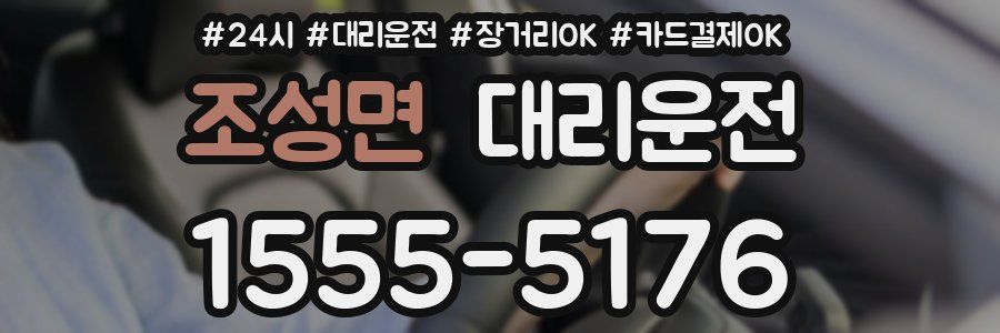 조성면 대리운전