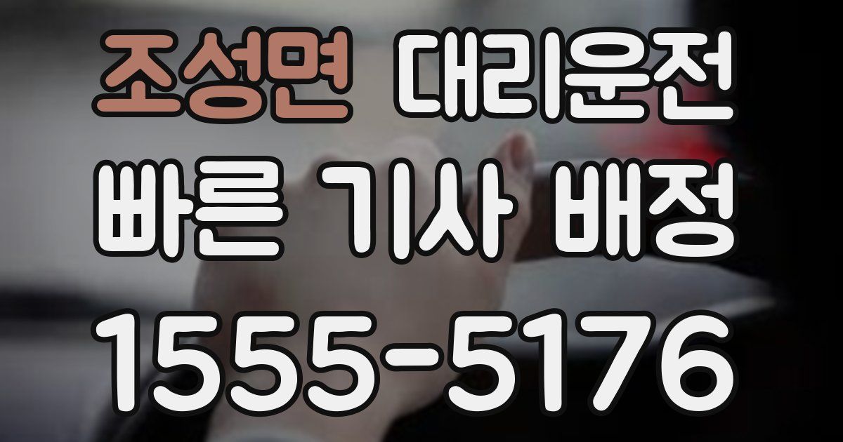 일일대리기사