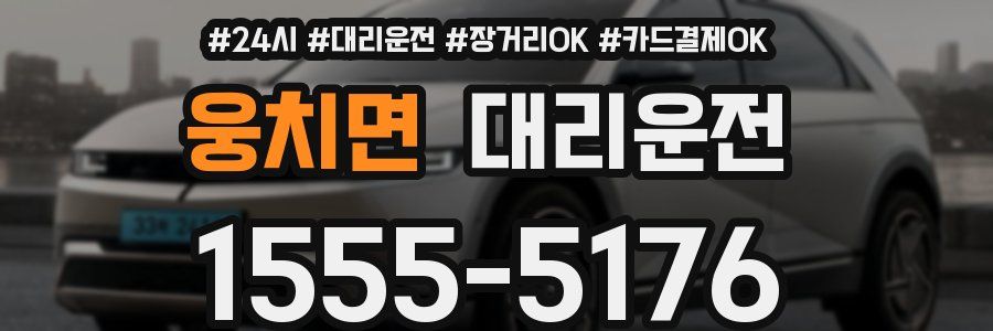 웅치면 대리운전