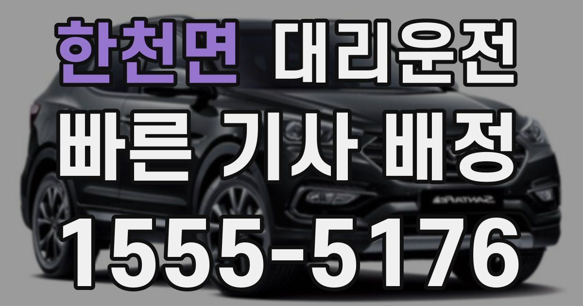 일일대리기사