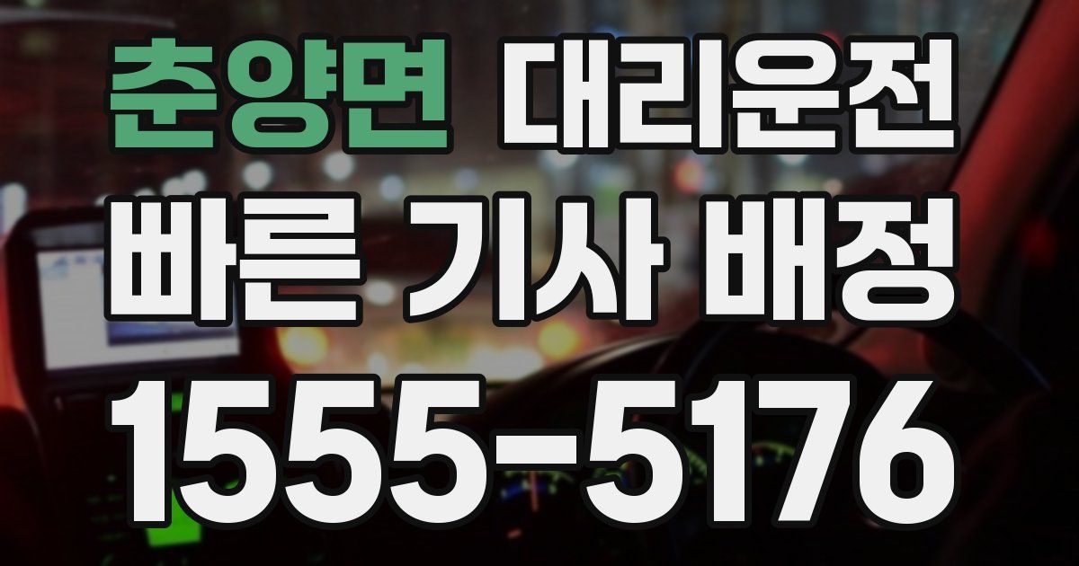 일일대리기사