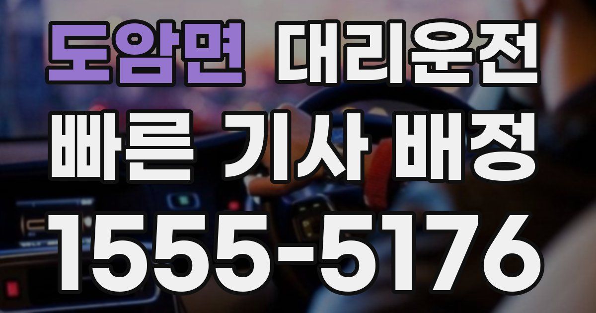 일일대리기사