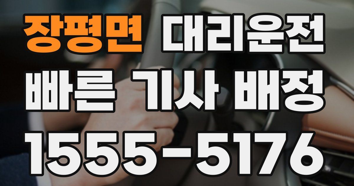일일대리기사