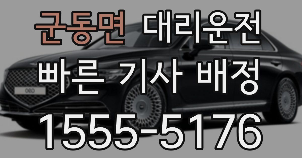 일일대리기사