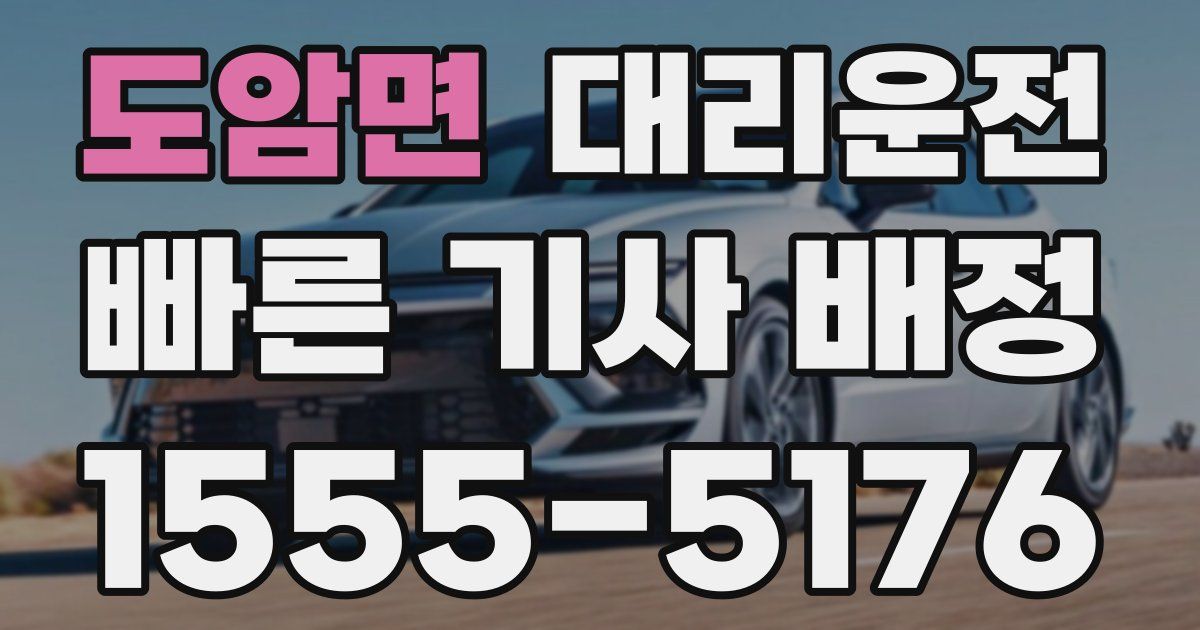 일일대리기사