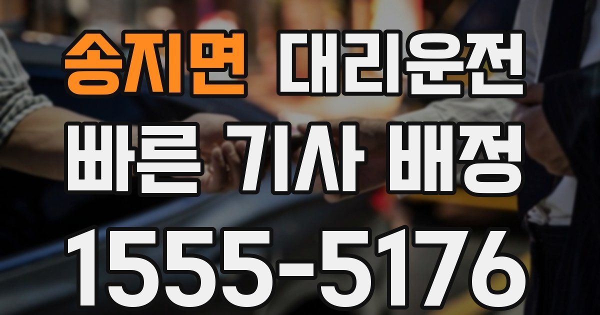 일일대리기사