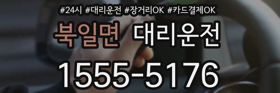 북일면 대리운전