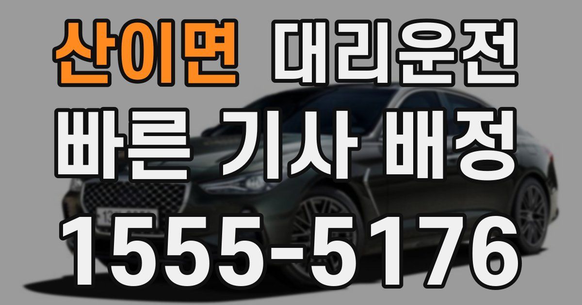일일대리기사
