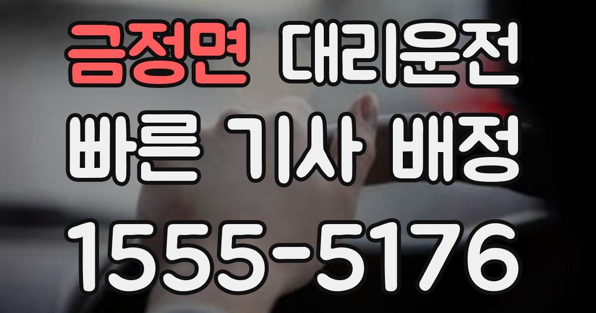 일일대리기사