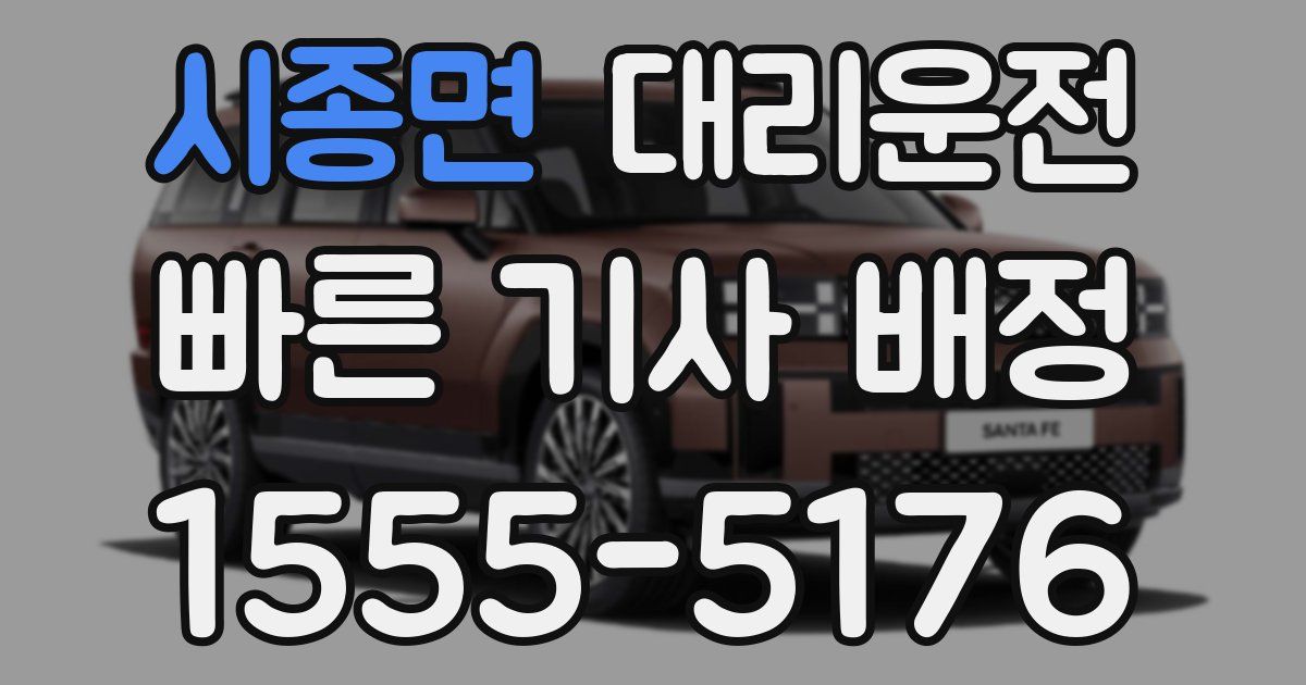 일일대리기사