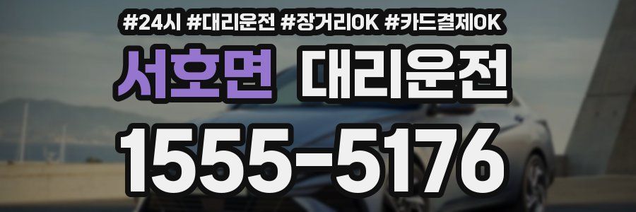 서호면 대리운전