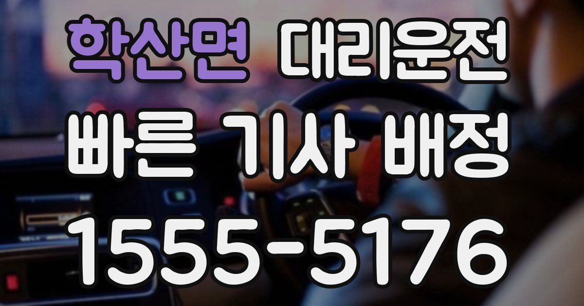 일일대리기사