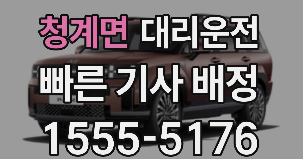 일일대리기사