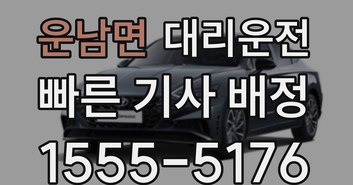 일일대리기사
