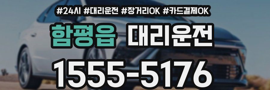 함평읍 대리운전