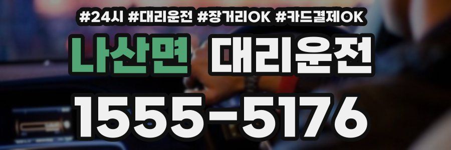 나산면 대리운전