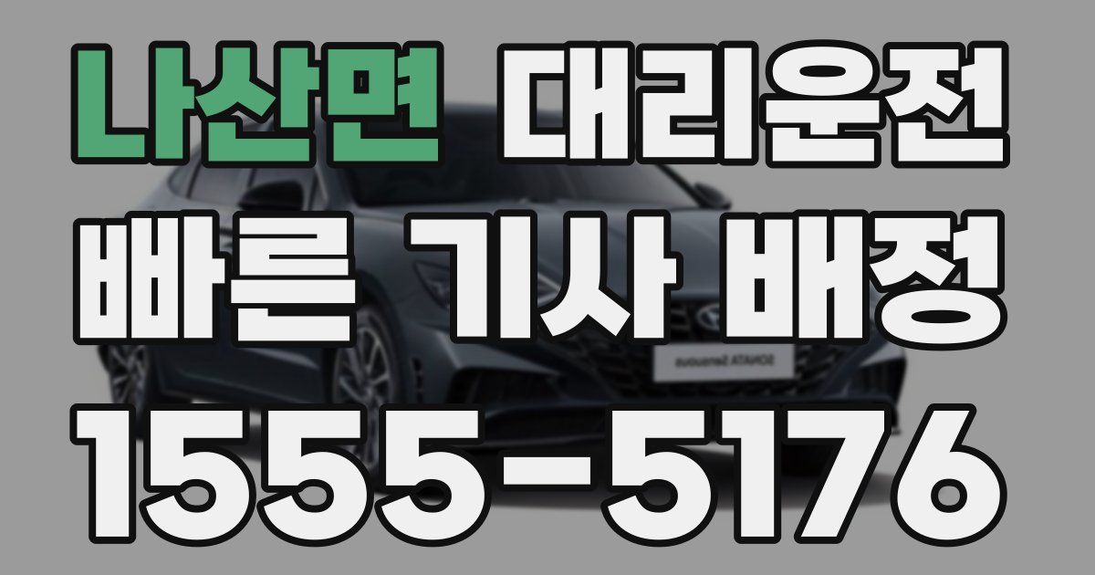 일일대리기사