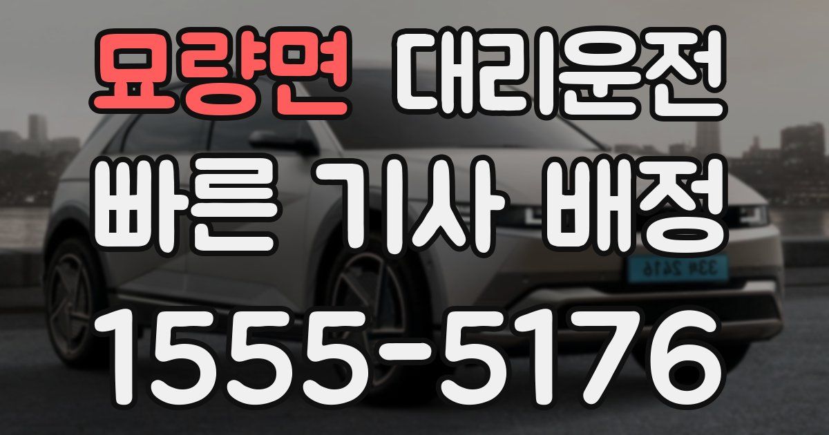 일일대리기사