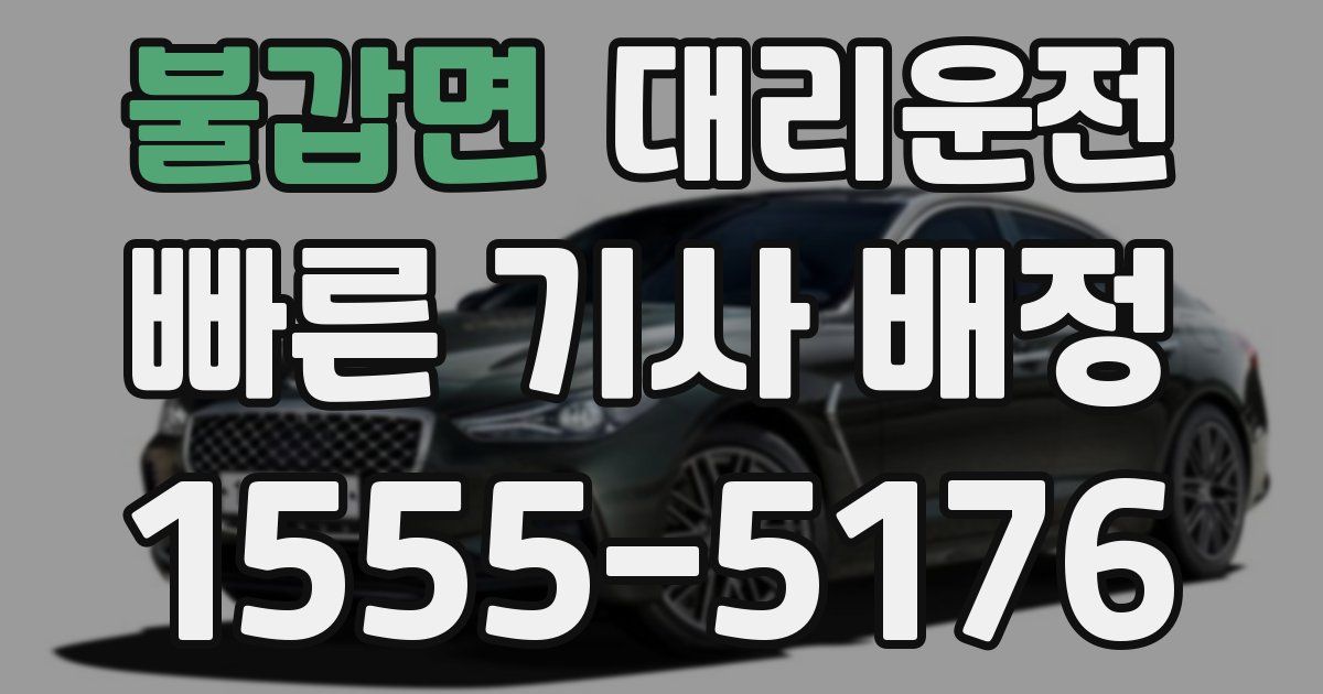 일일대리기사