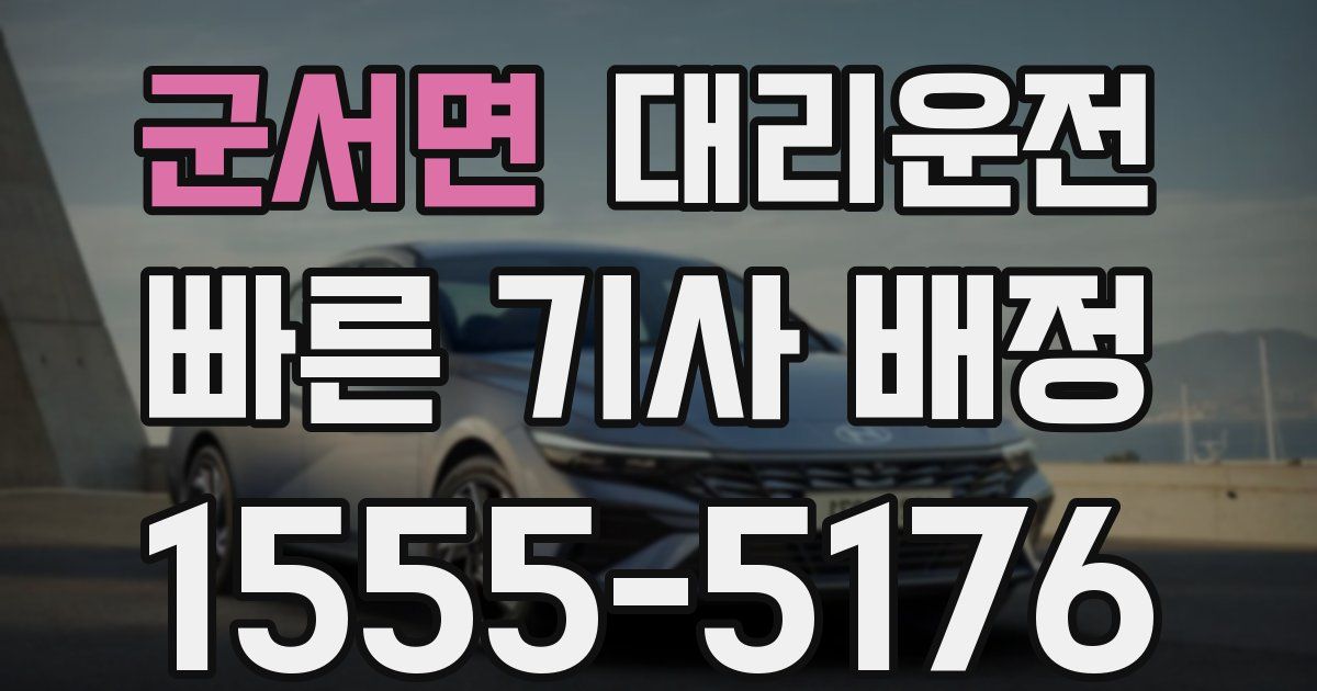 일일대리기사